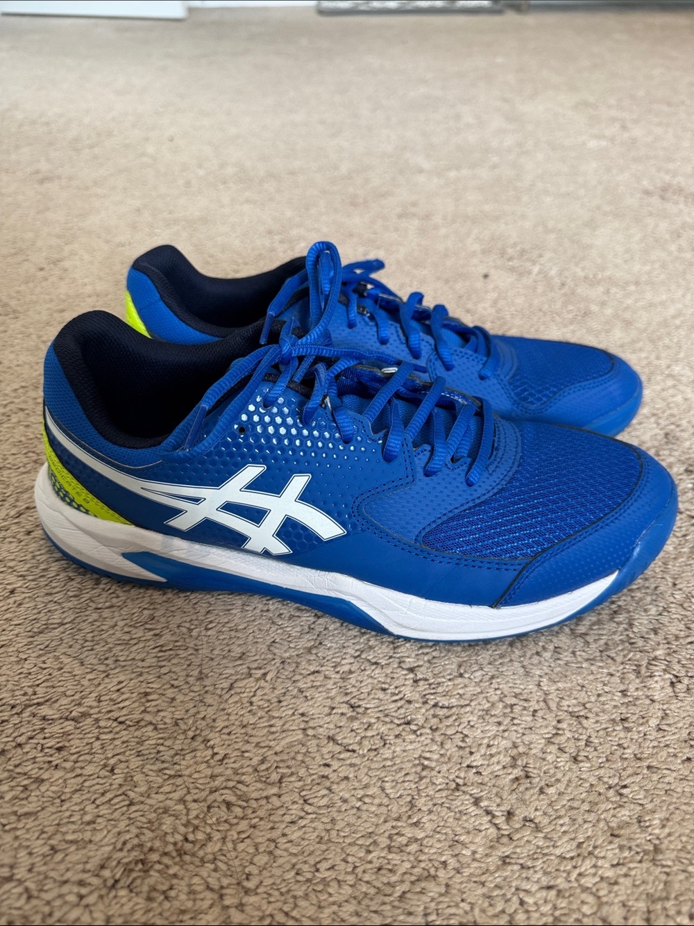 ASICS Court Sneakers